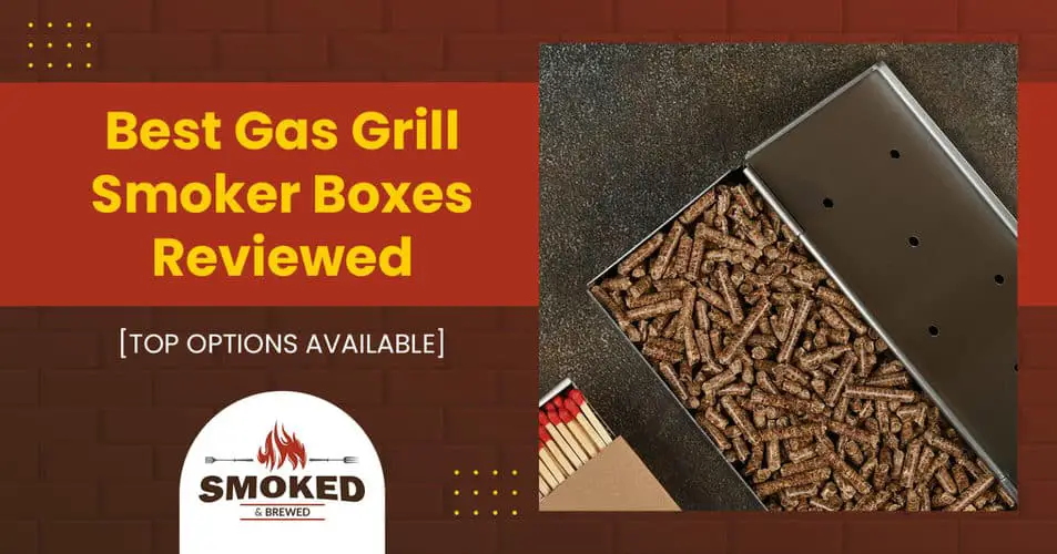 Best Gas Grill Smoker Boxes Reviewed [TOP OPTIONS AVAILABLE]