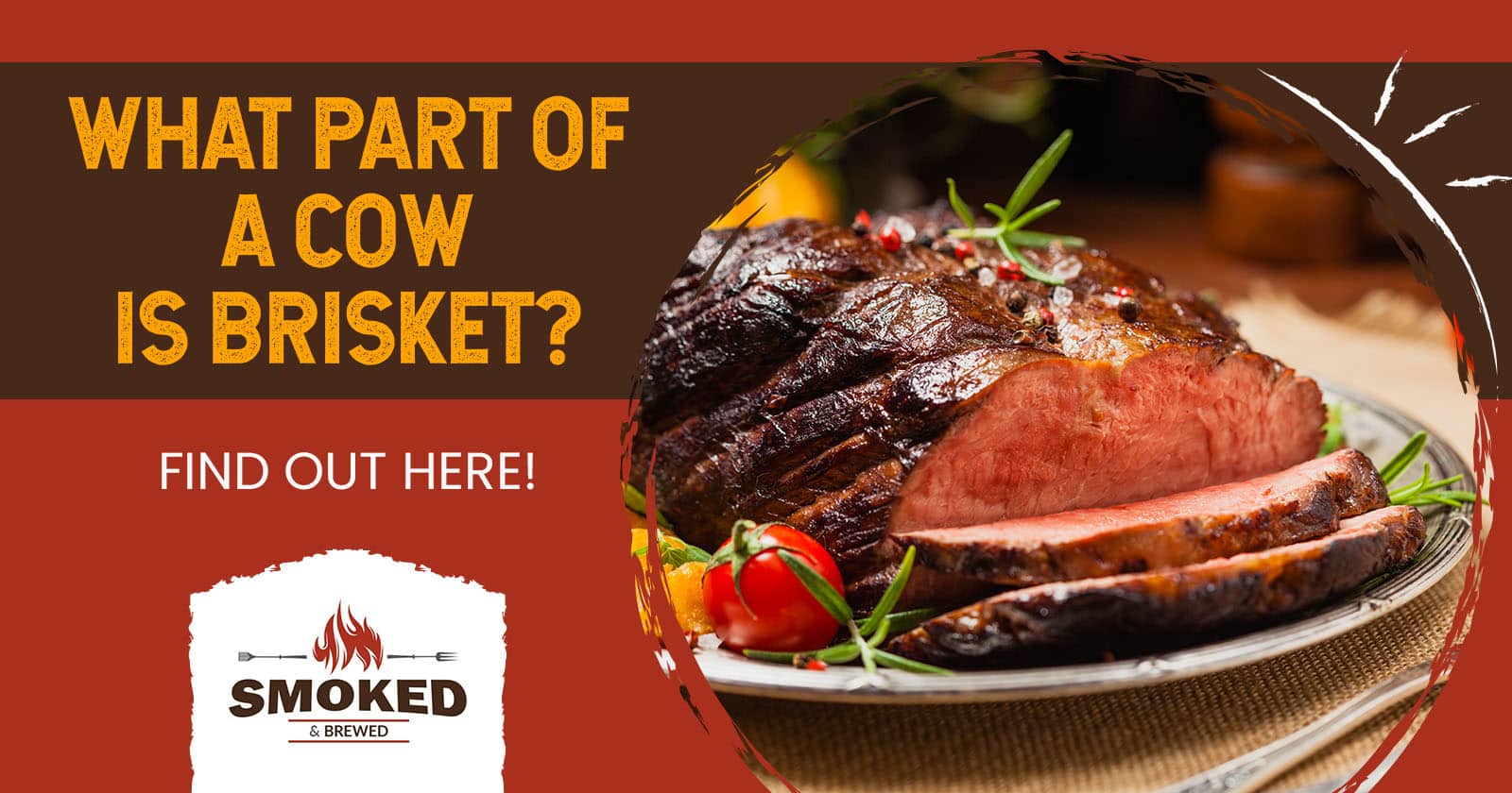 What Part of a Cow Is Brisket? [FIND OUT HERE!]