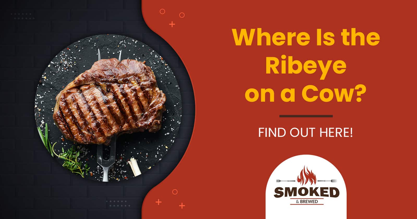 Where Is the Ribeye on a Cow? [FIND OUT HERE!]