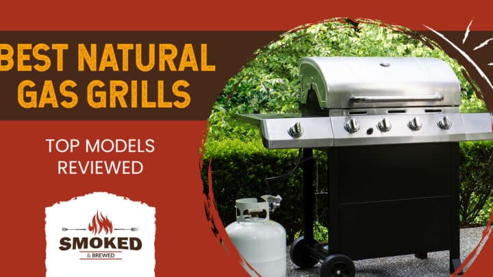 Best Natural Gas Grills [TOP MODELS REVIEWED]