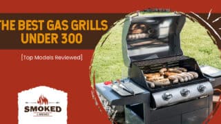The Best Gas Grills Under 300: [Top Models Reviewed]